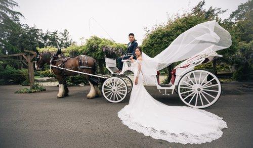 carousel-hero-element image-1