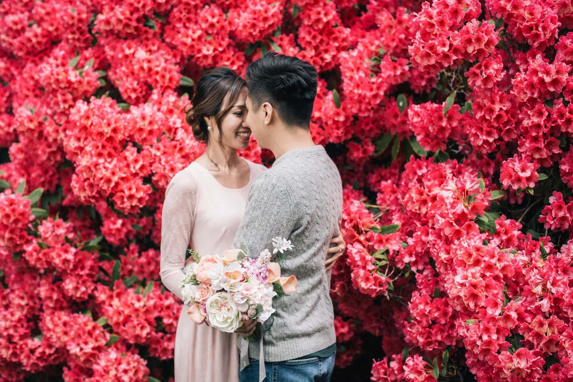 carousel-hero-element image-0